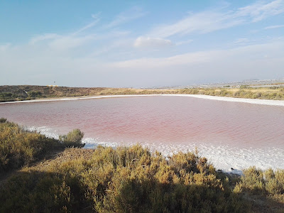FAI - Saline Conti Vecchi — fotografia 4