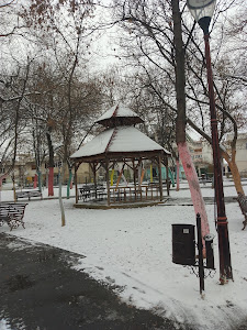 Parcul Pușkin - Crizantemelor — fotografia 4