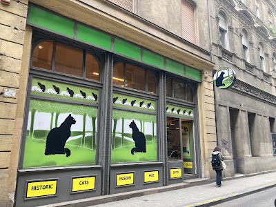 Historic Cats Museum - FREE ENTRY — fotografia 4