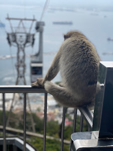 Gibraltar viewing platform — fotografia 4