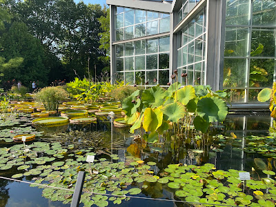 Palmengarten — fotografia 5