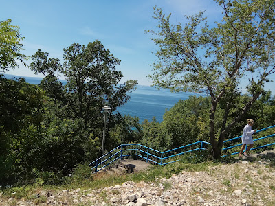 Svežanj Beach — fotografia 4