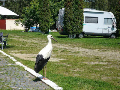 Camping Sălişteanca — fotografia 5