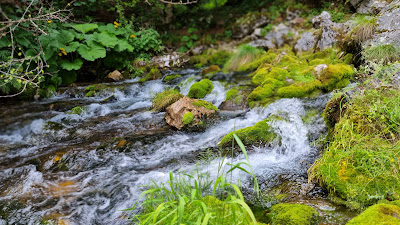Izvoarele Cernei