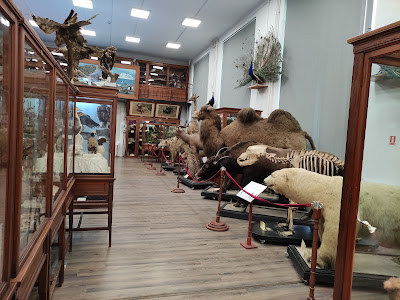 Muzeul Zoologic - UBB — fotografia 5