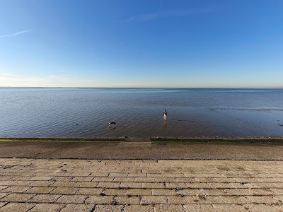 Oesterdam westzijde badstrand — fotografia 4