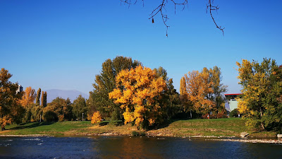 Kamberovića polje — fotografia 2