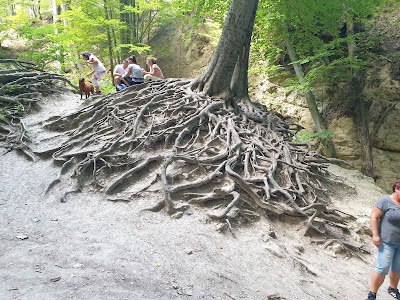 Rám-szakadék — fotografia 5