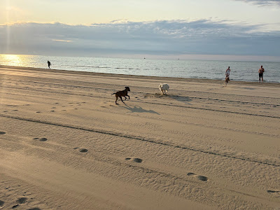 Spiaggia di Punta Sabbioni — fotografia 5