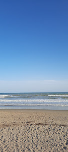 Spiaggia di Castellaneta Marina — fotografia 5