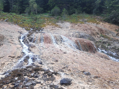 Cascada Urlătoarea (Vama Buzăului) — fotografia 3