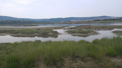 Naravni rezervat Škocjanski zatok — fotografia 3