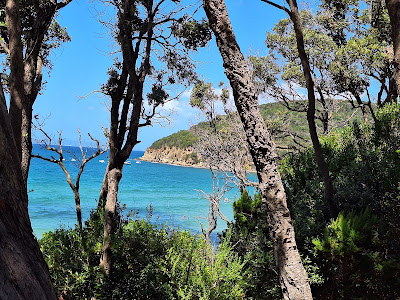 Cala Violina Scarlino — fotografia 5