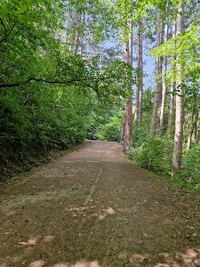 Path of Health — fotografia 3