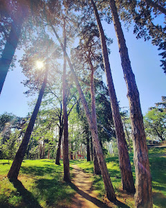 Parcul Iuliu Prodan — fotografia 5