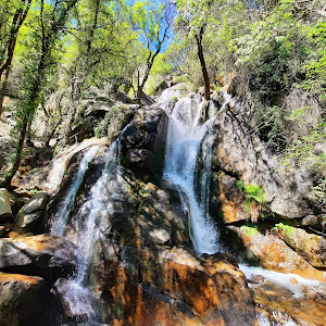 Ruta de las Nogaleas o Nogaledas — fotografia 3