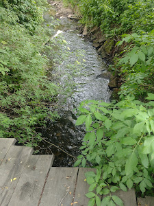 Wirenka River Waterfall — fotografia 5