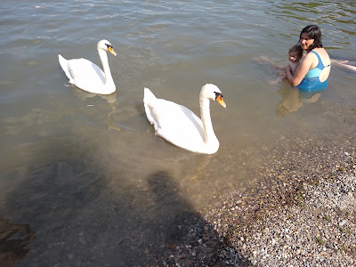Recreation area Breitenauer See — fotografia 5