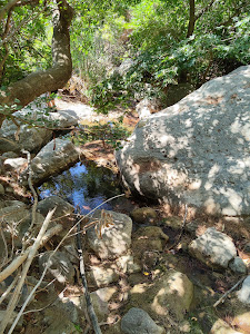 Pefki Gorge — fotografia 5