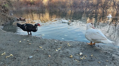Laguna de La Barrera — fotografia 5