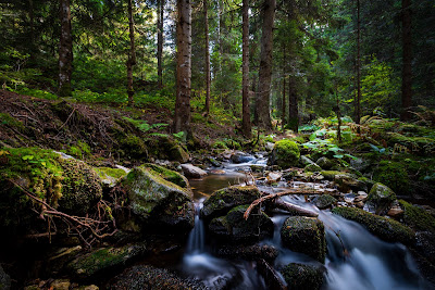 Samokovishteto Ecotrail (Bistritsa Waterfall) — fotografia 5