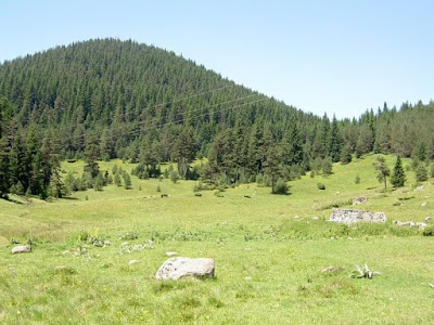 яз. Широка поляна — fotografia 4