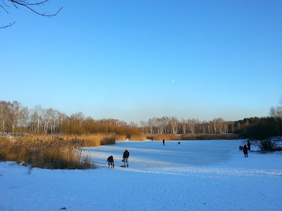 Lublinek Wilderness Preserve — fotografia 4