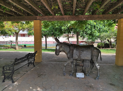 María Zambrano Park — fotografia 1