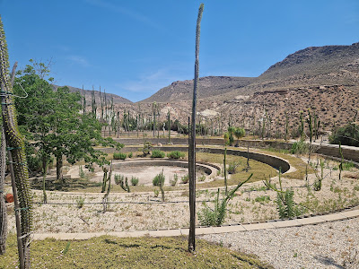 Cactus Níjar — fotografia 5