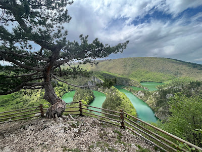 Meandri Ćehotine viewpoint — fotografia 5