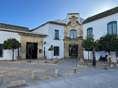 Palacio de Viana — fotografia 3
