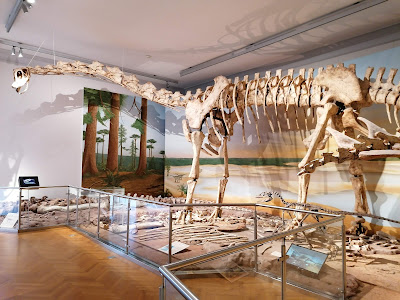 National Museum of Natural History — fotografia 3