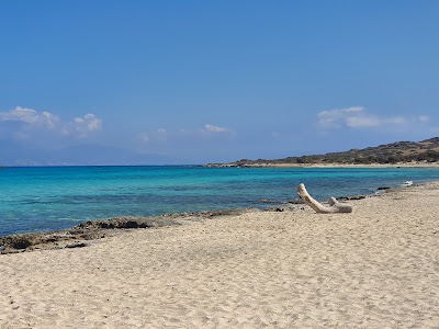 Golden Beach — fotografia 4