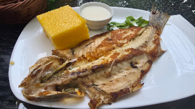 BONFISH — fotografia 3