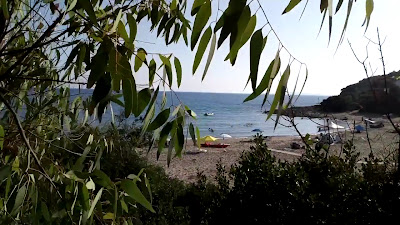 Κάμπινγκ Τσαπί — fotografia 2