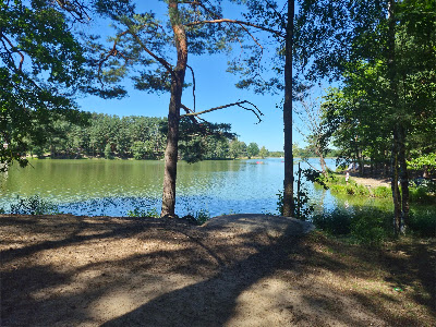 Zalew Rejów beach — fotografia 4