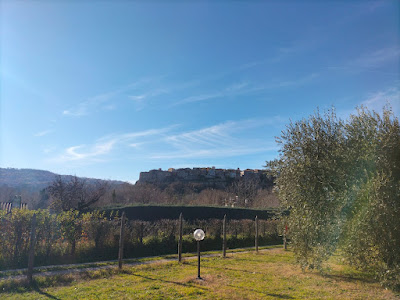 Agrisosta - L'Isola degli Ulivi — fotografia 4