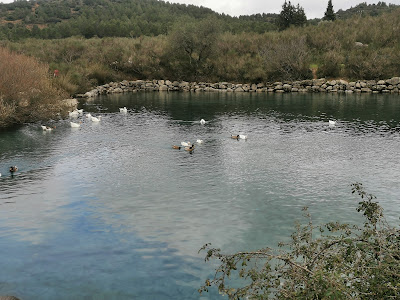 Nacimiento del Río de la Villa — fotografia 3