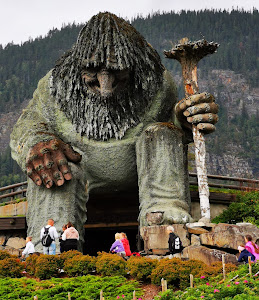 Hunderfossen Adventure Park — fotografia 4