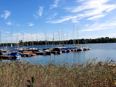 Camping Tankumsee — fotografia 4
