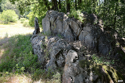 Benkovska meadow