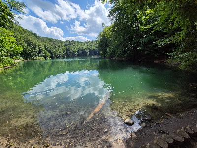 Bukowa Forest Landscape Park