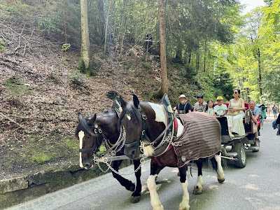 Aussichtspunkt zum Schloss Neuschwanstein — fotografia 5