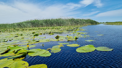 Lacul Isăccel