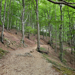 Parco Regionale del Monte Cucco — fotografia 4