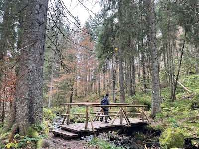 Geißenpfad Menzenschwand — fotografia 4