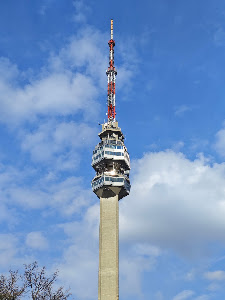 Avala