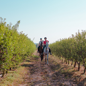 Munai Sardinia - Agriglamping — fotografia 5
