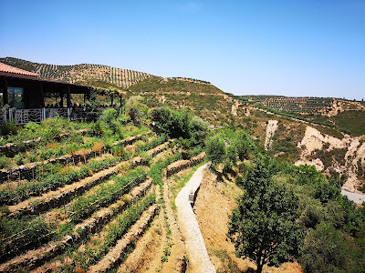 Botanical Garden of Crete — fotografia 4