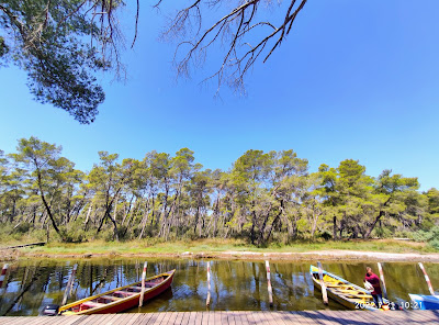 Divjaka-Karavasta National Park — fotografia 3